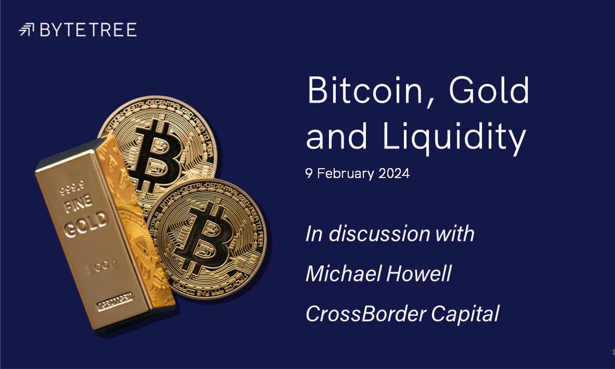 Bitcoin, Gold and Liquidity