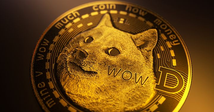 The World Is Running Out of DOGE